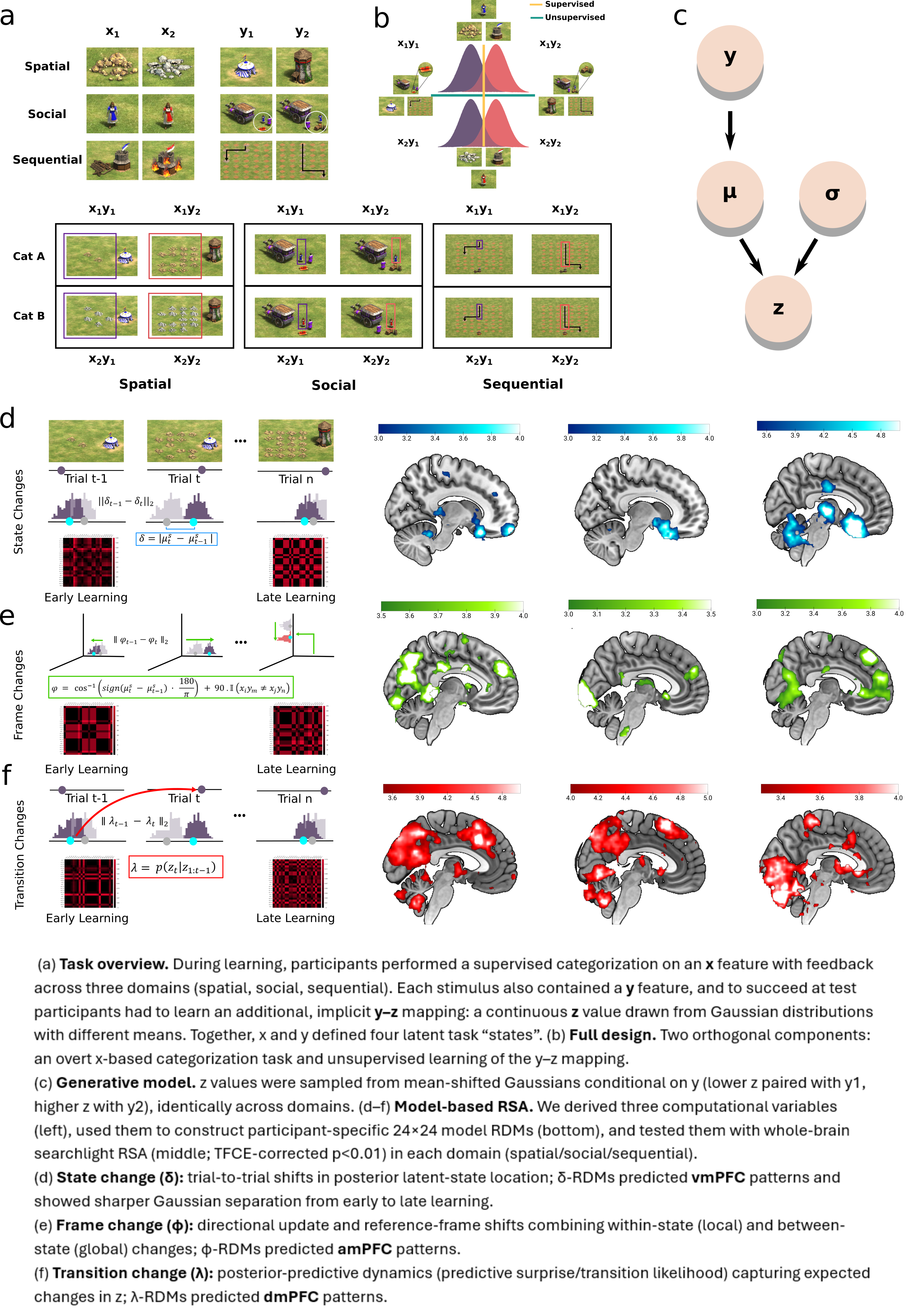 (a) Task overview. During learning, participants performed a supervised categorization on an x feature with feedback across three domains (spatial, social, sequential). Each stimulus also contained a y feature, and to succeed at test participants had to learn an additional, implicit y–z mapping: a continuous z value drawn from Gaussian distributions with different means. Together, x and y defined four latent task “states”. (b) Full design. Two orthogonal components: an overt x-based categorization task and unsupervised learning of the y–z mapping. (c) Generative model. z values were sampled from mean-shifted Gaussians conditional on y (lower z paired with y1, higher z with y2), identically across domains. (d–f) Model-based RSA. We derived three computational variables (left), used them to construct participant-specific 24×24 model RDMs (bottom), and tested them with whole-brain searchlight RSA (middle; TFCE-corrected p<0.01) in each domain (spatial/social/sequential). (d) State change (δ): trial-to-trial shifts in posterior latent-state location; δ-RDMs predicted vmPFC patterns and showed sharper Gaussian separation from early to late learning. (e) Frame change (φ): directional update and reference-frame shifts combining within-state (local) and between-state (global) changes; φ-RDMs predicted amPFC patterns. (f) Transition change (λ): posterior-predictive dynamics (predictive surprise/transition likelihood) capturing expected changes in z; λ-RDMs predicted dmPFC patterns.