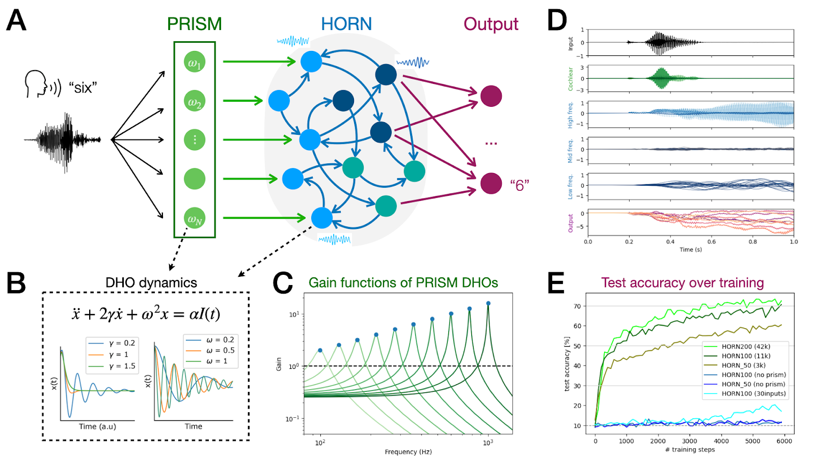 Sketch of AudioPrism: (A) Setup of the network with prism- and recurrent HORN layer. (B) DHO dynamics. (C) Gain functions of prism DHOs. (D) Exemplary time series from input to output nodes. (E) Test accuracy over training.