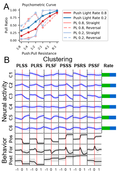A, Psychometric curves plotting the change in pull ratio as a function of push:pull resistance. Increased sensory likelihood improves task performance, while prior information from the block structure biases the mice's choices. B, Hierarchical clustering of neural activity categorized by behavioral outcomes (success, straight movement, or "change of mind" reversals), with the proportion of each cluster across cortical layers and the corresponding mean behavioral traces. Green and blue bars indicate the proportions of neurons in L2/3 and L5, respectively.