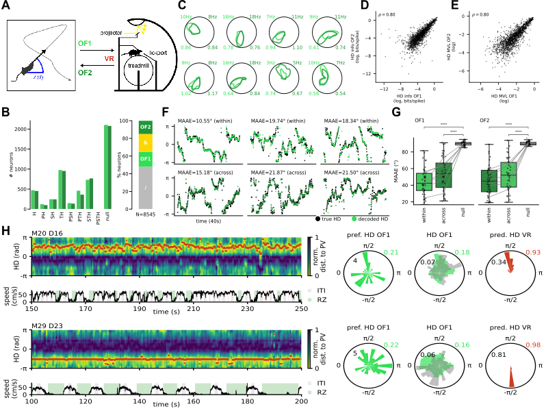 A scientific figure containing 8 panels of results.