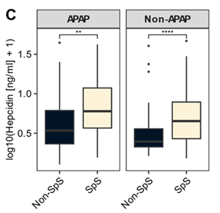 Abb. 1: Hepcidinspiegel in 200 ALFSG Patienten (stratifiziert nach Ätiologie und 21-Tage-Überleben). Serumspiegel für log10(Hepcidin [ng/ml] +1). Der Boxplot zeigt den Median mit erstem und drittem Quartil. Punkte kennzeichnen die Ausreißer. APAP/Non-APAP beschreibt die ALF-Ätiologie (Acetaminophen-induziert oder nicht). Non-SpS sind Patienten, die, im Gegensatz zu spontan Überlebenden, innerhalb von 21 Tagen nach Studienbeginn entweder gestorben sind oder eine Lebertransplantation benötigten. Die Signifikanzlevel sind: ** p < 0.01, **** p < 0.0001 (Wilcoxon rank sum test). 