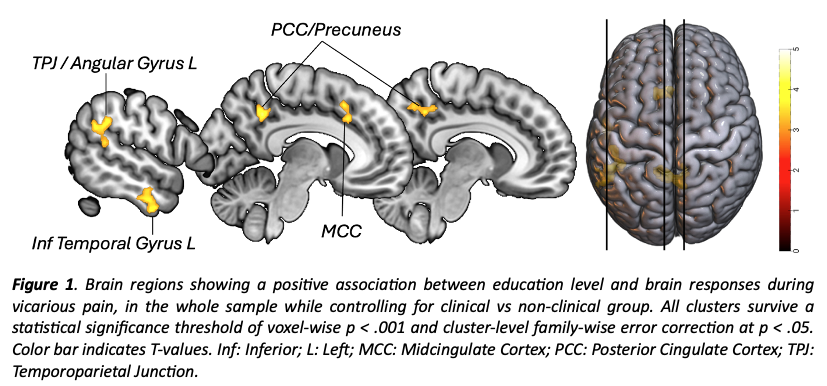 Figure 1. Brain regions showing a positive association between education level and brain responses during vicarious pain, in the whole sample while controlling for clinical vs non-clinical group. All clusters survive a statistical significance threshold of voxel-wise p < .001 and cluster-level family-wise error correction at p < .05. Color bar indicates T-values. Inf: Inferior; L: Left; MCC: Midcingulate Cortex; PCC: Posterior Cingulate Cortex; TPJ: Temporoparietal Junction.