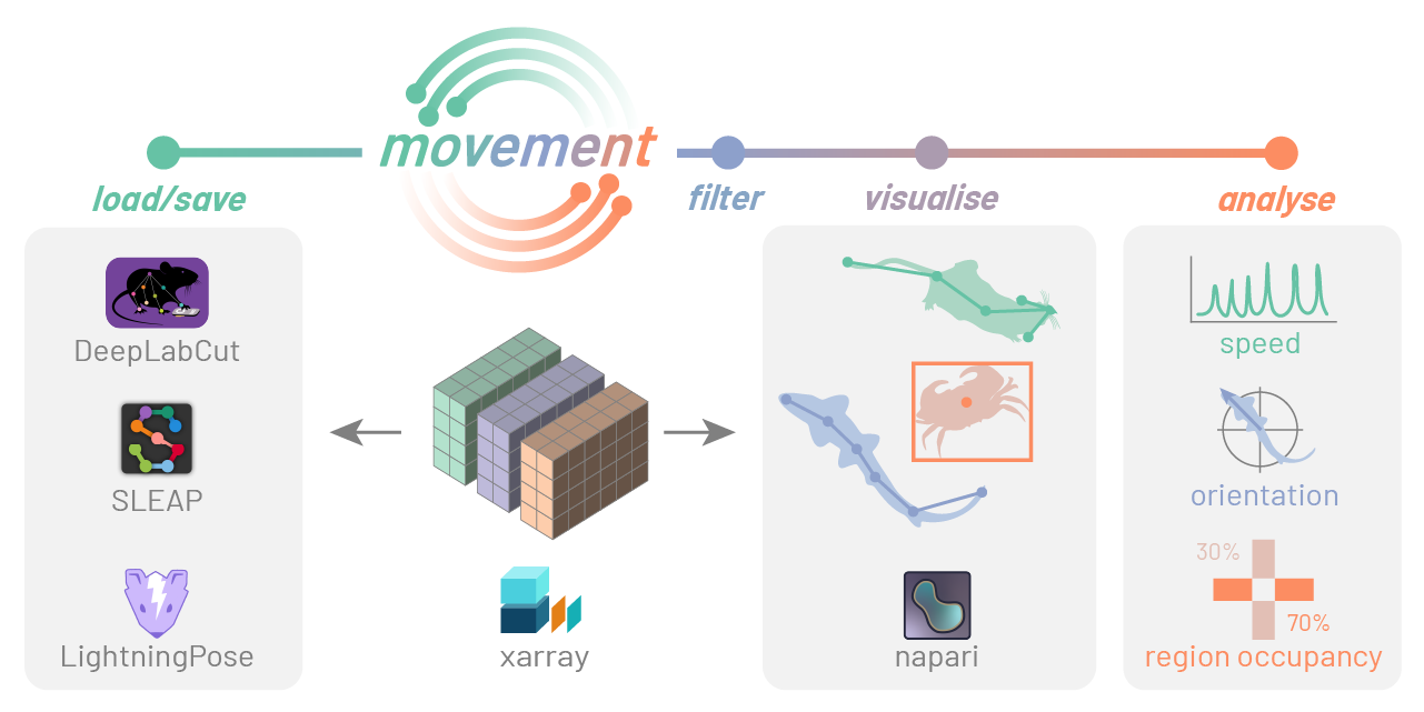 A schematic overview of the "movement" Python package.