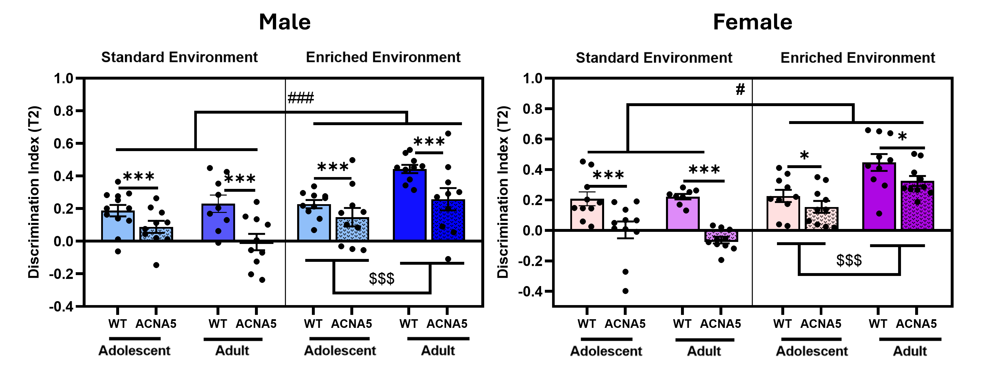 Two bar graphs, separated by sex (Male and Female), showing the Discrimination Index in a spatial memory task for WT and ALPHA5 knockout (ACNA5) mice across two ages: Adolescent (tested at PND35) and Adulthood (tested at PND60). The graphs compare animals raised in a Standard Environment versus an Enriched Environment. In both sexes and age groups, ACNA5 mice in standard housing show memory deficits, while those in the enriched environment exhibit significantly improved discrimination indices, indicating a rescue of spatial memory across development. Data are visualized as mean ± S.E.M, with individual data points.
