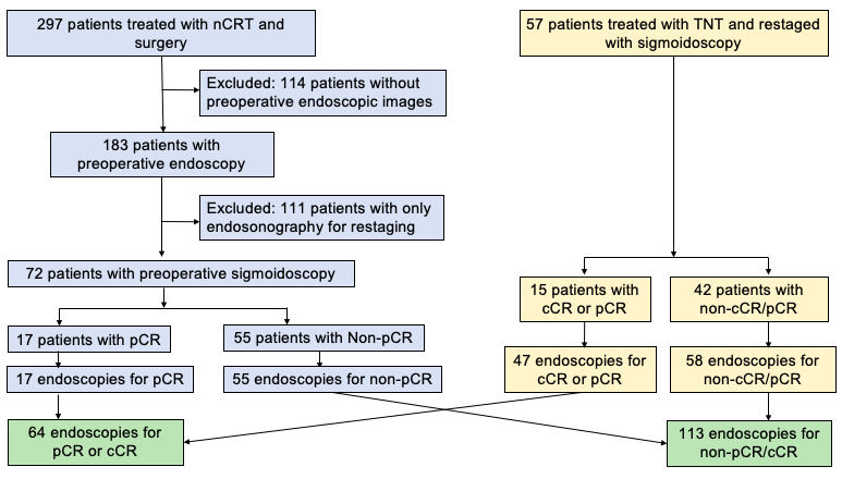 Figure 2: Study design. cCR: clinical complete response; nCRT: neoadjvuant chemoradiotherapy; pCR pathological complete response; TNT: total neoadjvuant therapy.