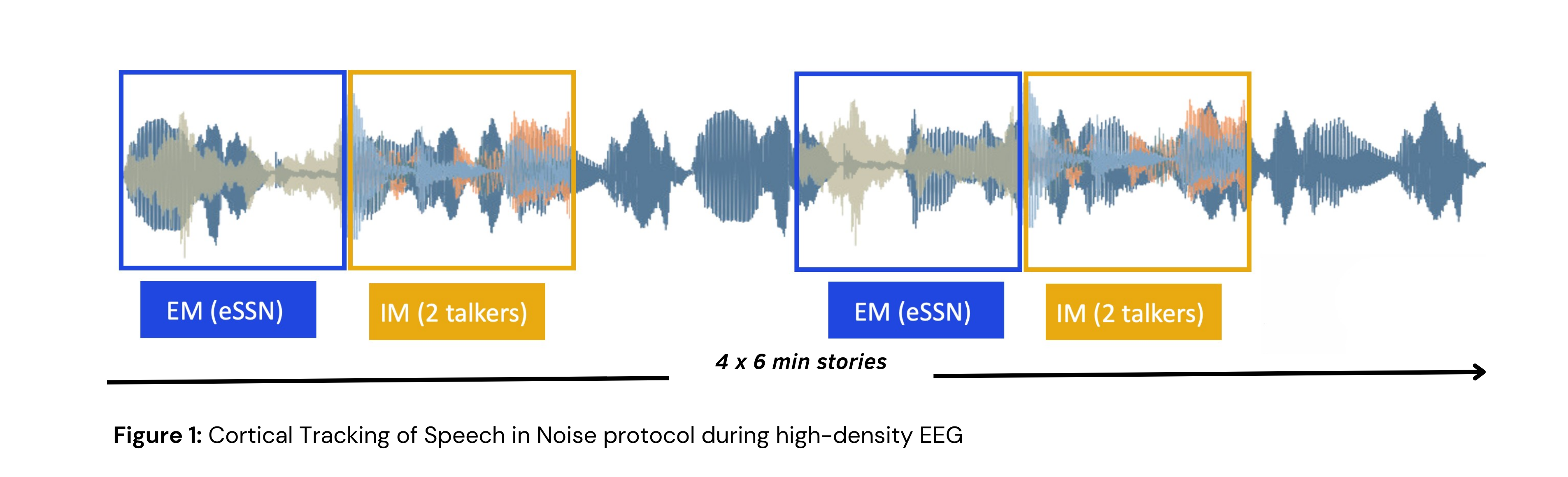 The image represents our cortical tracking of speech protocol. Participants are presented with four 6-minute stories. During each story, three masking conditions alternate every minute: quiet (no background noise), energetic masking (EM; envelope-modulated speech-shaped noise), and informational masking (IM; two-talker babble noise). EEG is recorded using 128 electrodes during the listening task.