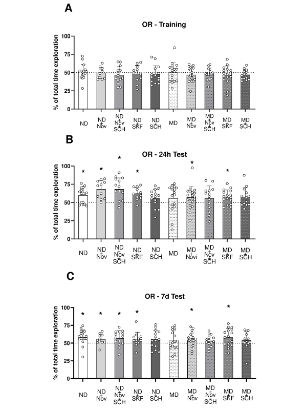 Bar graph showing object recognition performance (% exploration time) across non-deprived and maternally deprived rats under different conditions, including novelty exposure and dopaminergic modulation, during training and memory tests